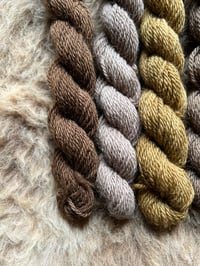 Image 4 of Mini Bundle #8 - 100G Hand Dyed Kent Romney Mini Skeins