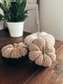 Regular Color Block Knit Pumpkin 3 pack  Image 2