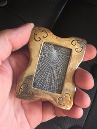 Image 1 of Small Framed Preserved Web A