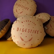 Image of Chocolate Digestive Printed Cushion