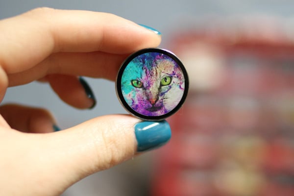 Image of Galaxy Cat Face Plugs