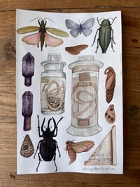 Image 1 of Oxford Natural History Museum Original Painting