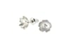 Springtime Wildflower Primrose earrings