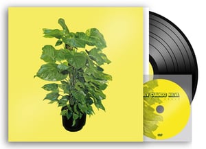 Image of KIEV CUANDO NIEVA. PARECE DOBLE. LP + DVD