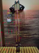 Image of Walker XS Leki