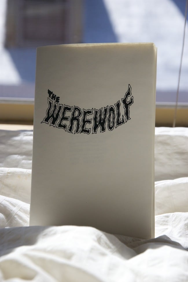 Image of The Werewolf
