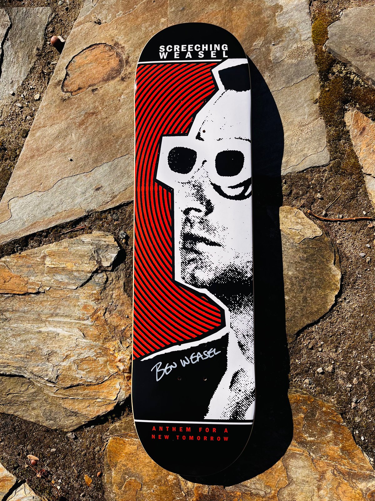 ネット買い Descendents Cool To Be You Skate Deck - その他スポーツ