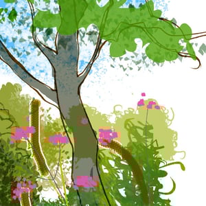 Oxford Botanic Gardens