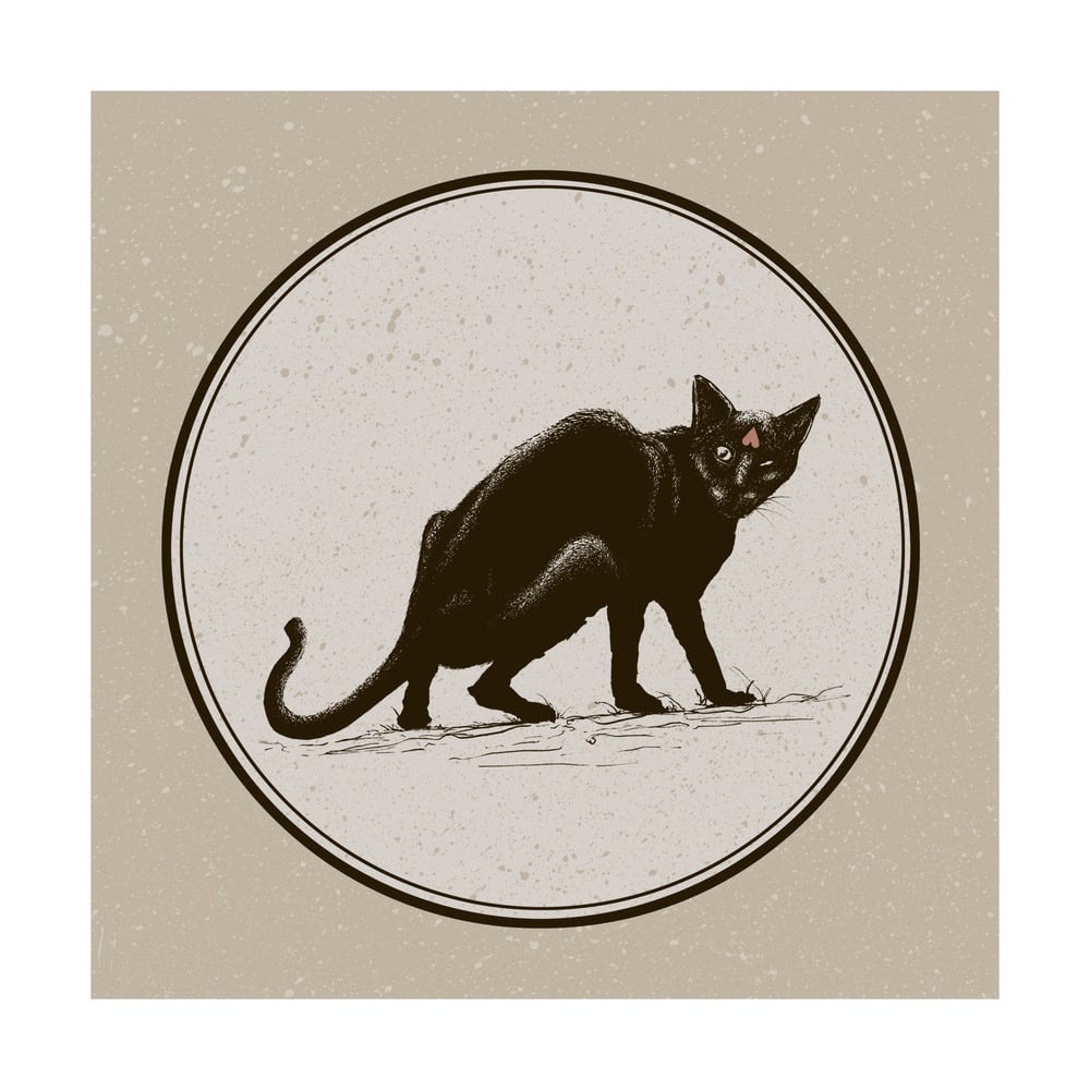 Image of Black Cat Black Cat