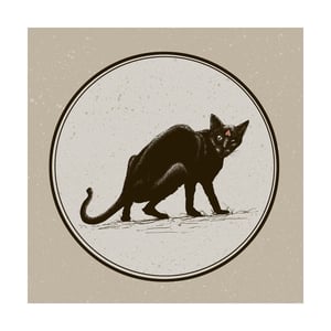 Image of Black Cat Black Cat