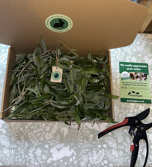 Image of ⭐️SPECIAL OFFER⭐️ Box of fresh willow and small willow wreath copy