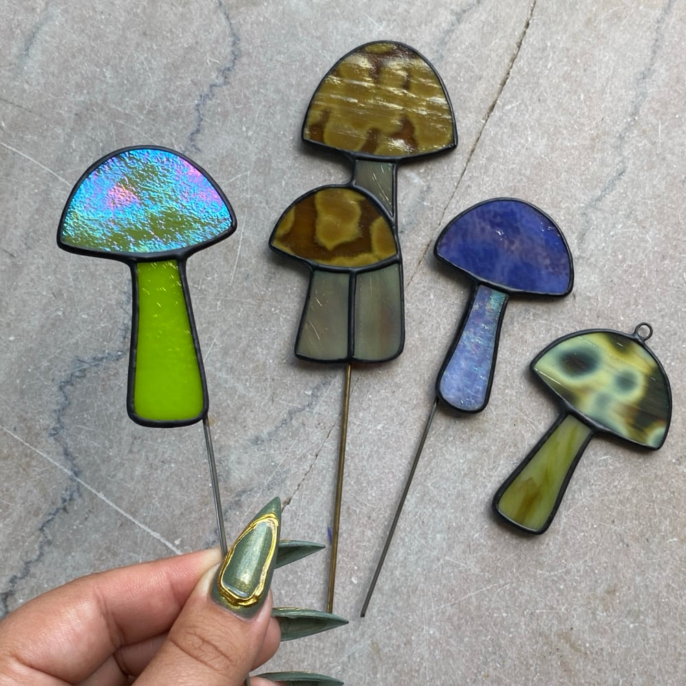 Image of Mushrooms