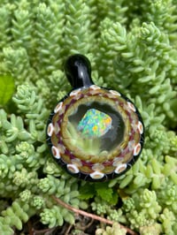 Image 5 of Opal Shells