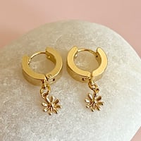 Image 3 of Teeny Gold Daisy Huggies