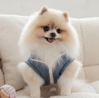 Image 1 of CUSTOM EMBROIDERED LOUIE VEST - DENIM 