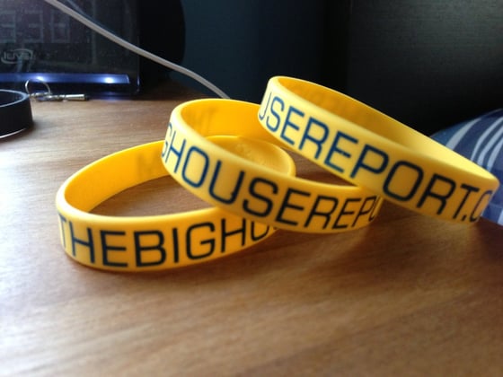 Image of Official TBHR Wristband
