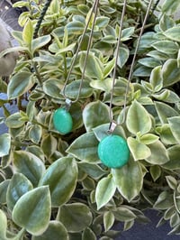 Image 2 of Green Aventurine 💚💚