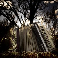 Image 2 of CD | Mighty Seed