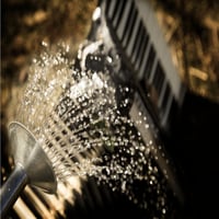 Image 3 of CD | Mighty Seed