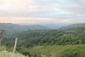 Image of Nicaragua Full City Roast