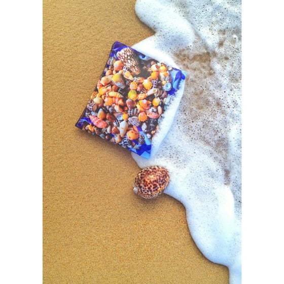 Image of Seashells Zipper Clutch