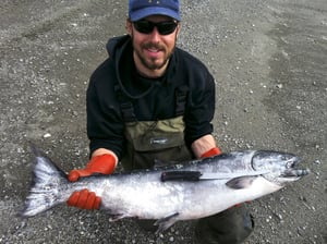 Image of King Salmon – 50 lbs. ($26.99/lb)
