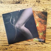 Image of Forest/Dead Arm 7"