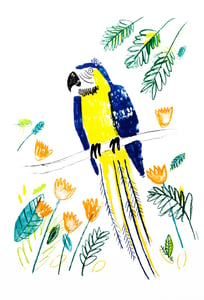 Image of Parrotdise