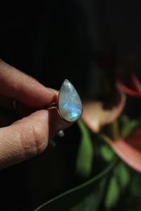 Image 1 of Moonstone Tears