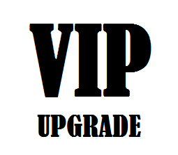 Image of VIP TICKET