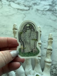 Image 3 of Died Trying