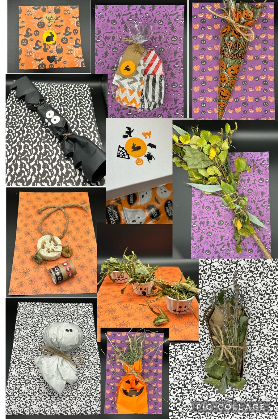 Image of Individual Halloween enrichment toys and treats 