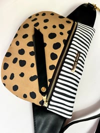 Image 3 of Spots & stripes