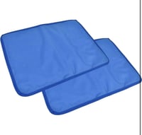 Frosty Pillow (2 Pack)