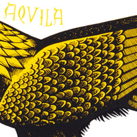 Image 3 of Golden Eagle