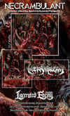 NECRAMBULANT - Infernal Infectious Necro-Ambulatory Pandemic CD