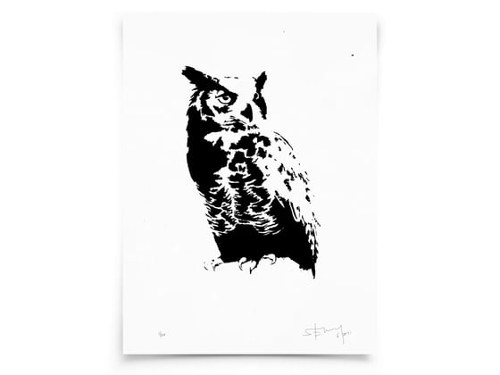 Image of Owl on paper - Screenprint