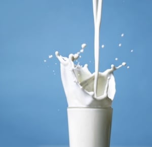 Image of Quart Milk