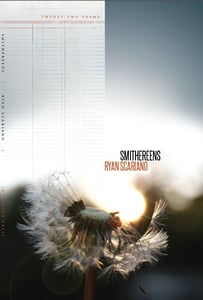 Image of Smithereens by Ryan Scariano