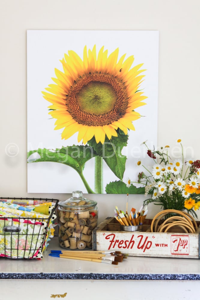 Image of Sunflower on White Sky Canvas
