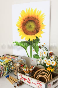 Image 4 of Sunflower on White Sky Canvas