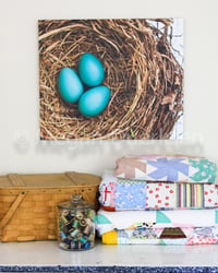 Image 1 of Robin Eggs Canvas