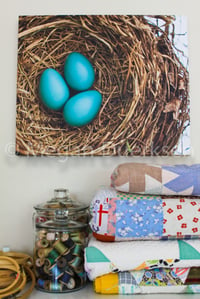 Image 2 of Robin Eggs Canvas