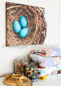 Image 3 of Robin Eggs Canvas