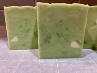 Image 1 of Irish clover and Aloe