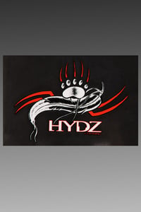 Image of HYDZ Decal Pack