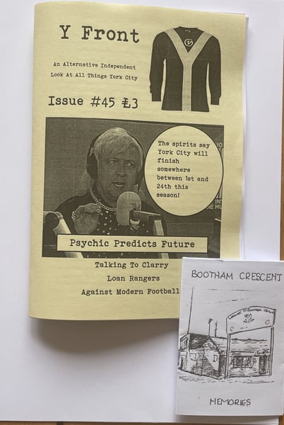 Image of Y Fromt Issue 45