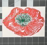 Poppy (pink)