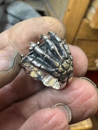 Image 5 of The Hand of the King