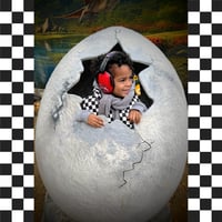 Image 5 of COAT: Checkerboard Body Warmer